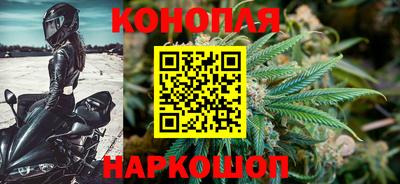 гидра Заволжье