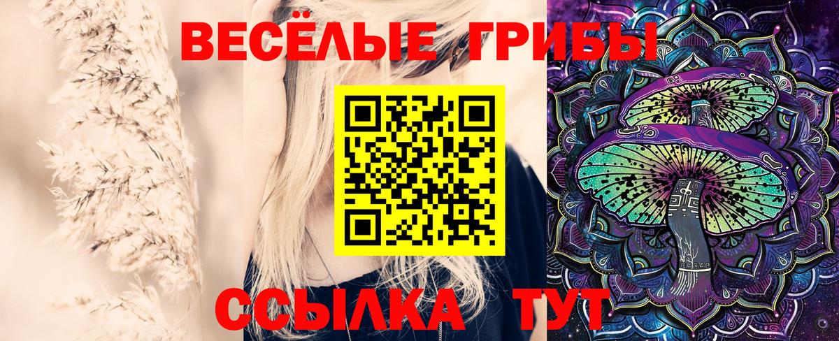 Галлюциногенные грибы мицелий  Вход с VPN  Галлюциногенные грибы Psilocybine cubensis  Минусинск 